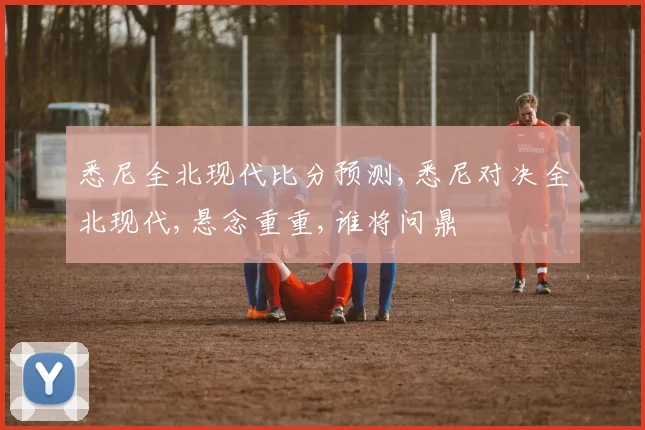 悉尼全北现代比分预测,悉尼对决全北现代,悬念重重,谁将问鼎