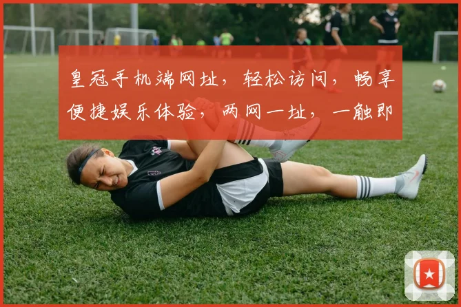 皇冠手机端网址，轻松访问，畅享便捷娱乐体验，两网一址，一触即达