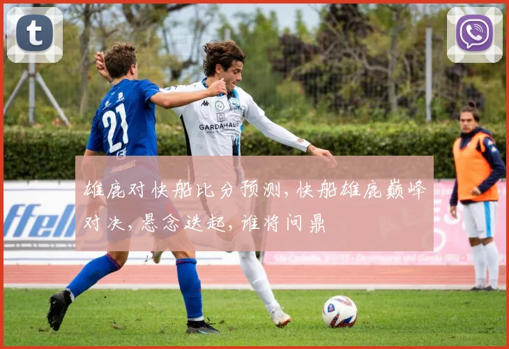 雄鹿对快船比分预测,快船雄鹿巅峰对决,悬念迭起,谁将问鼎