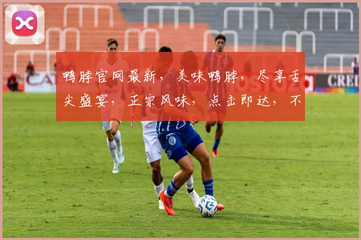 鸭脖官网最新，美味鸭脖，尽享舌尖盛宴，正宗风味，点击即达，不容错过