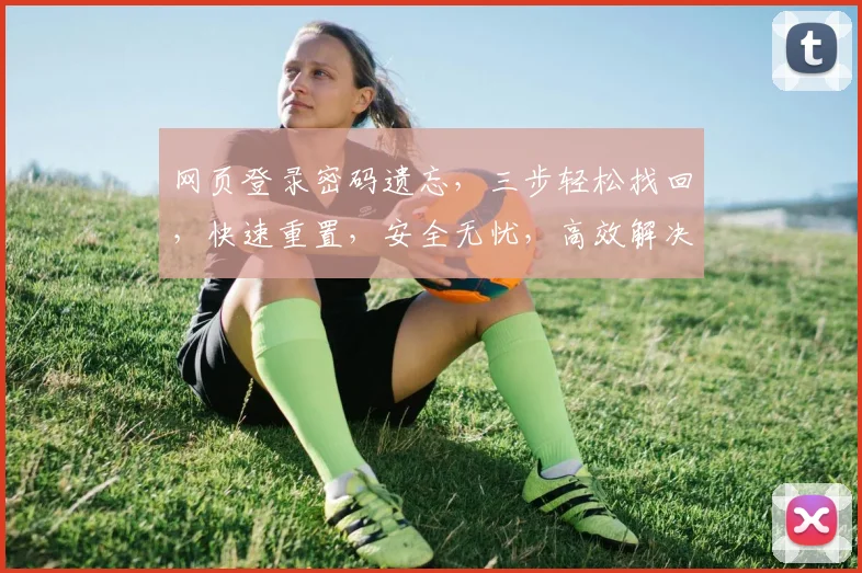 网页登录密码遗忘，三步轻松找回，快速重置，安全无忧，高效解决之道，一网打尽