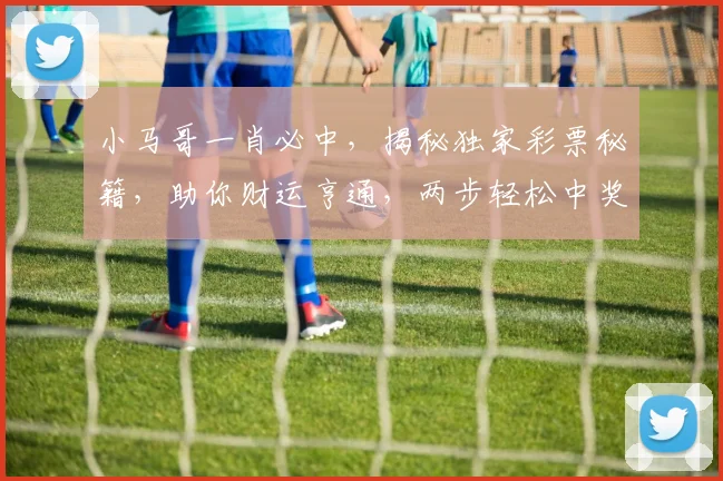 小马哥一肖必中，揭秘独家彩票秘籍，助你财运亨通，两步轻松中奖