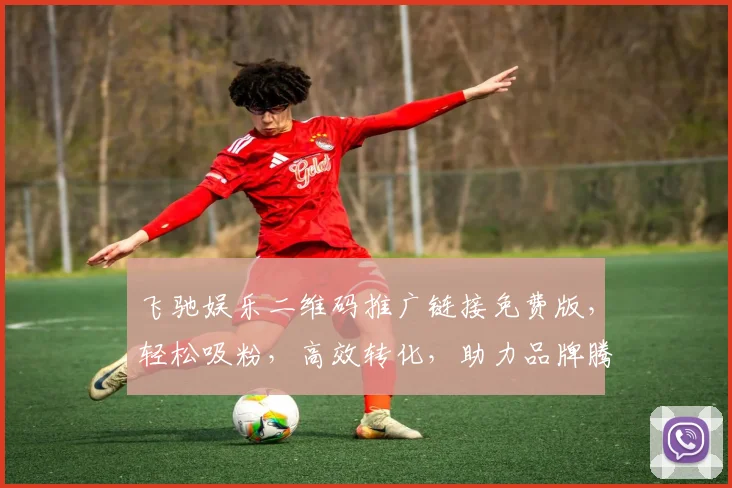 飞驰娱乐二维码推广链接免费版，轻松吸粉，高效转化，助力品牌腾飞，三步实现，不容错过，快来体验